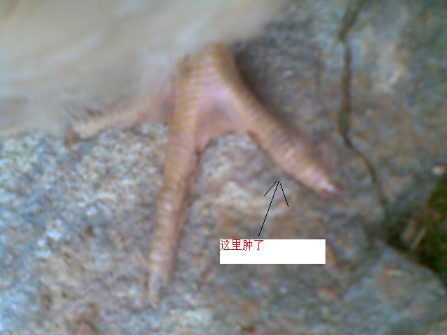 20110626_002.jpg