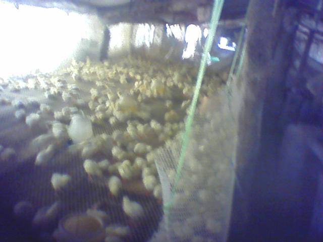 0104_1641.jpg