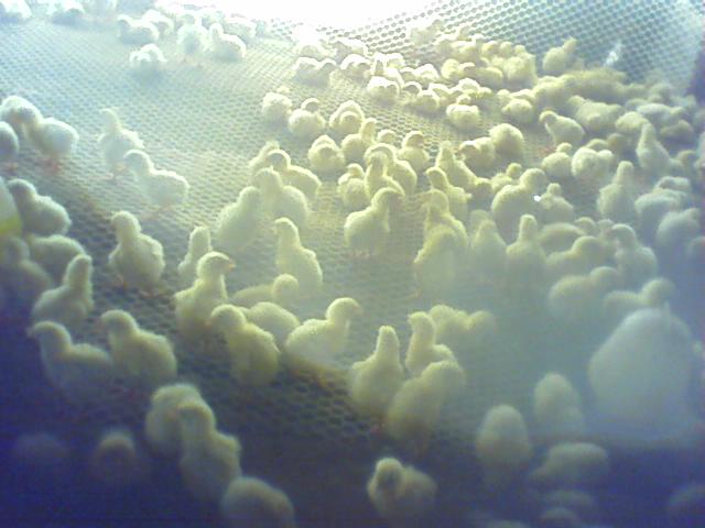 0104_1640_01.jpg