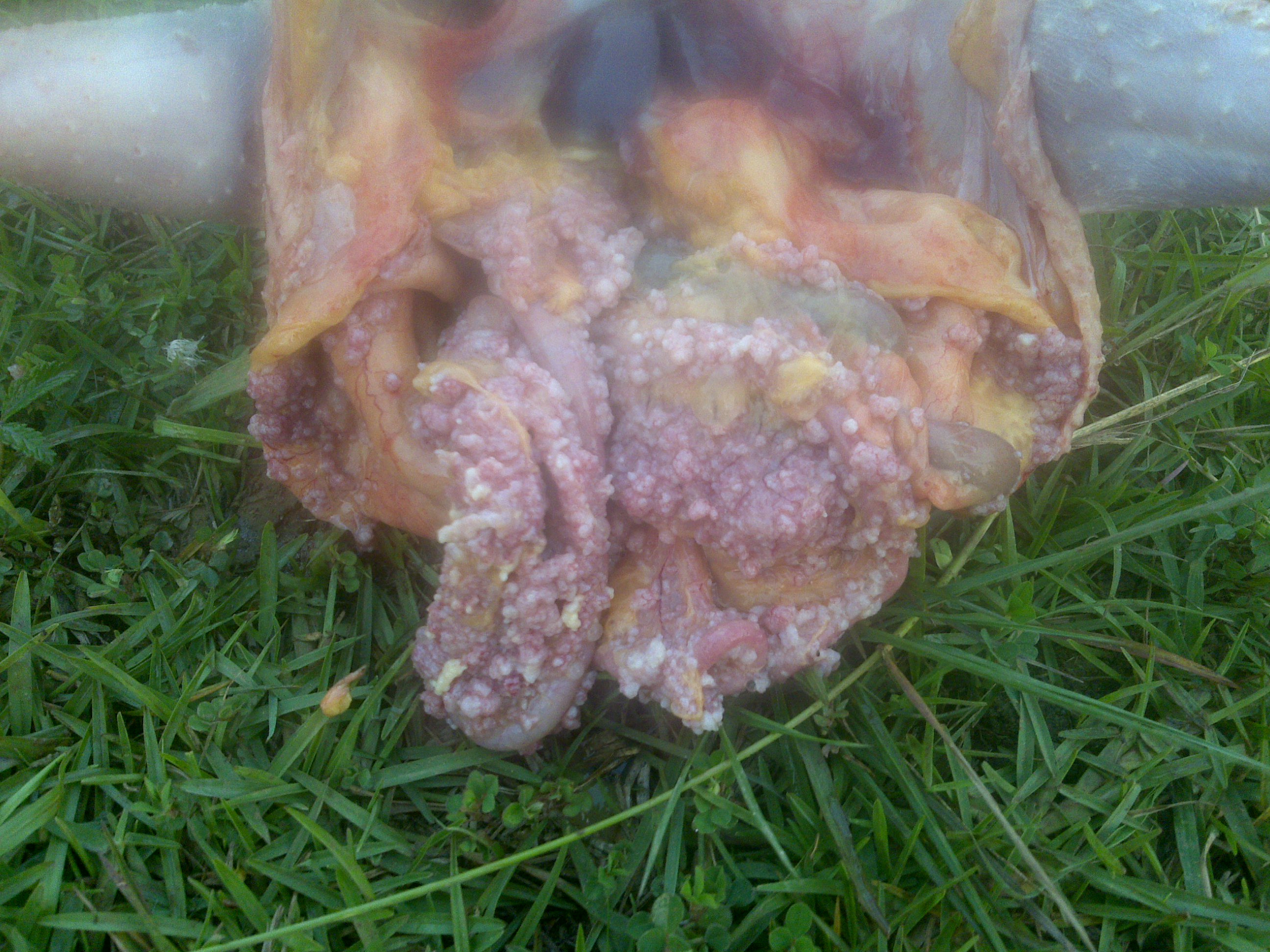 20110608351.jpg