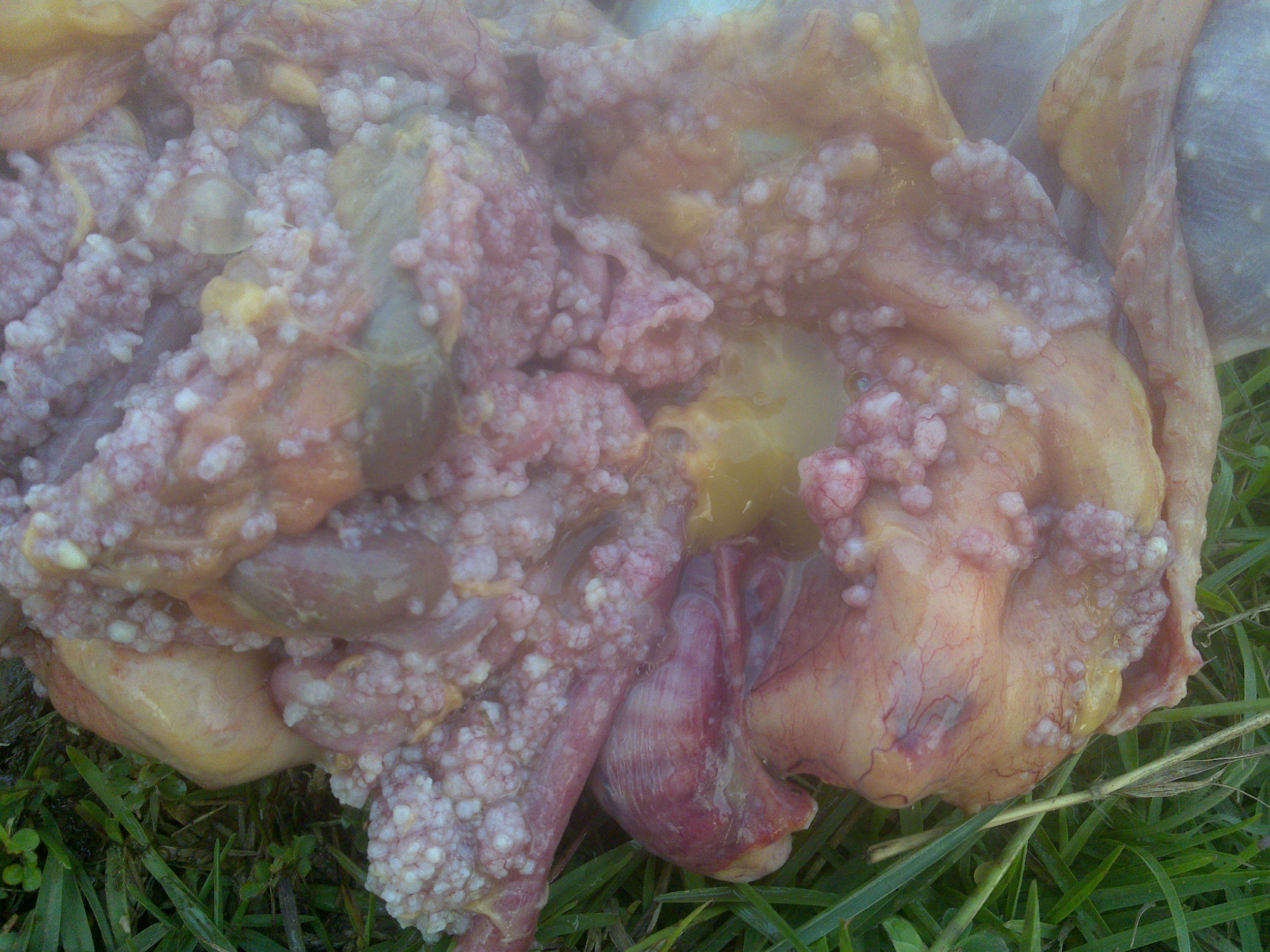 20110608355.jpg