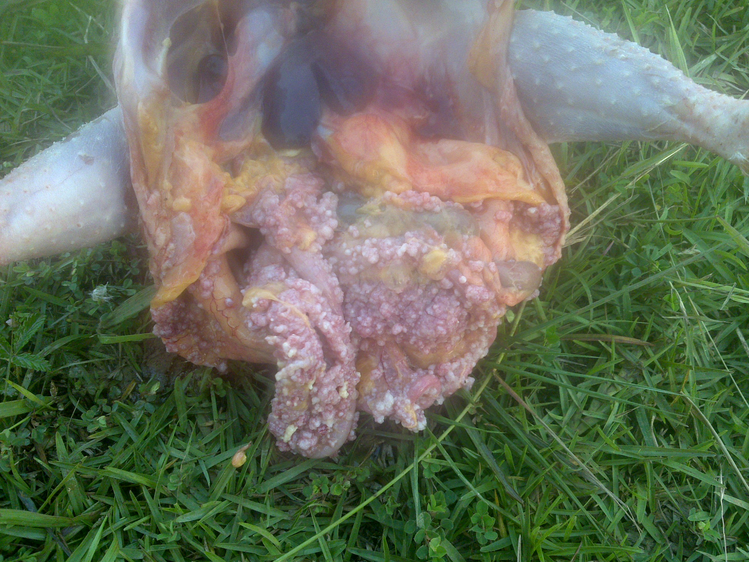 20110608349.jpg