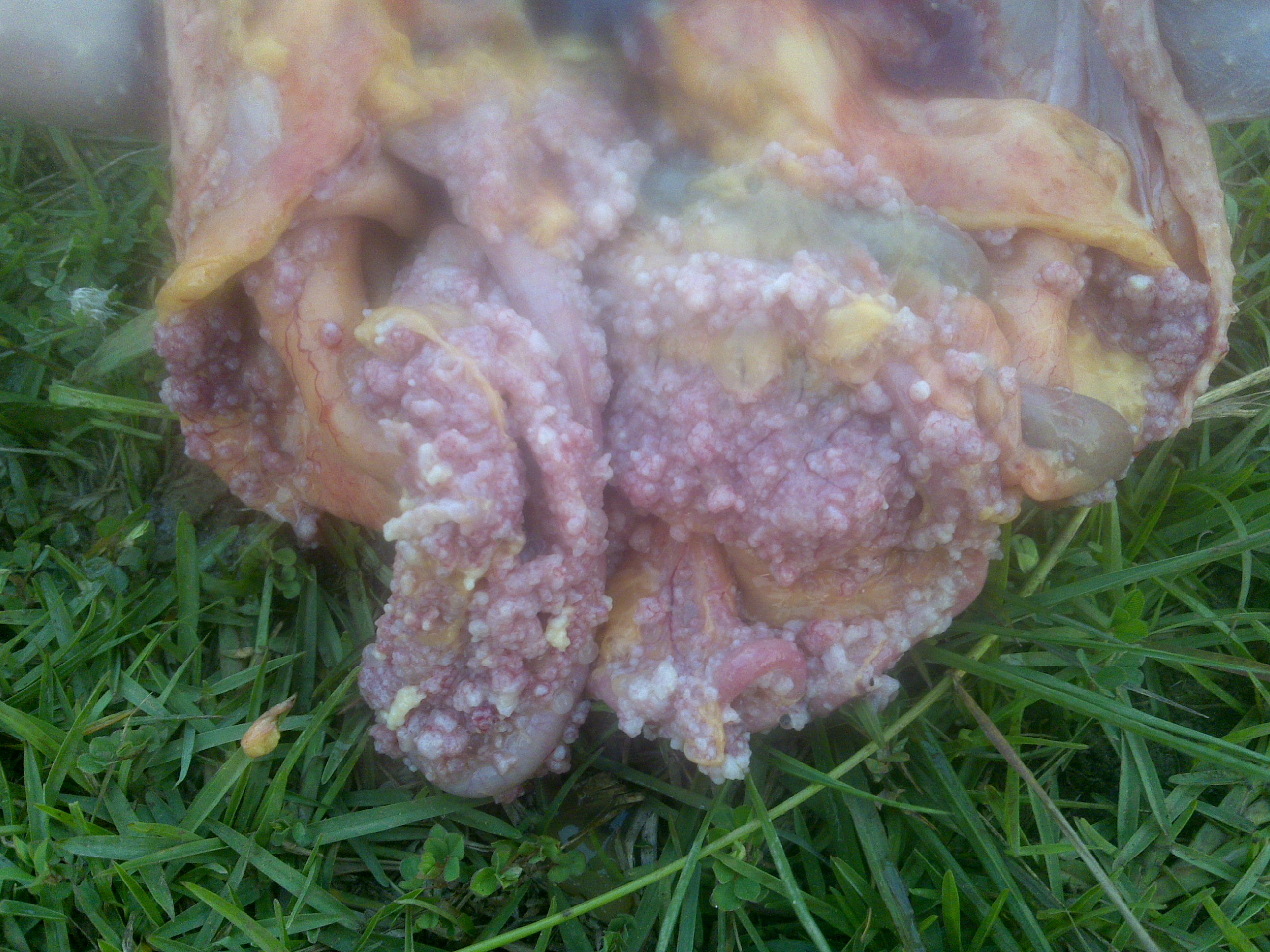 20110608352.jpg
