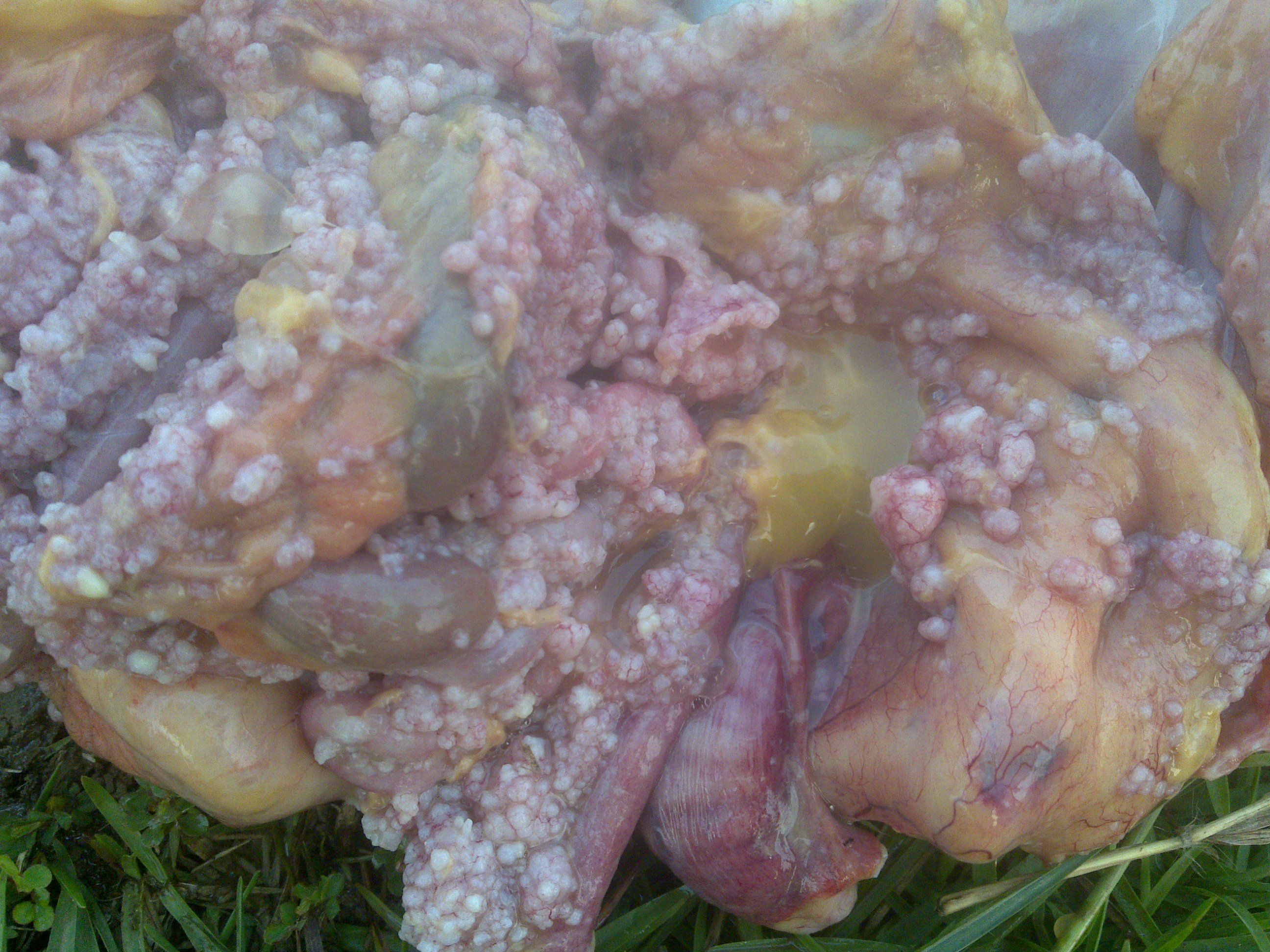 20110608356.jpg