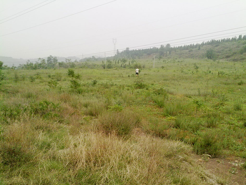 20100719174.jpg