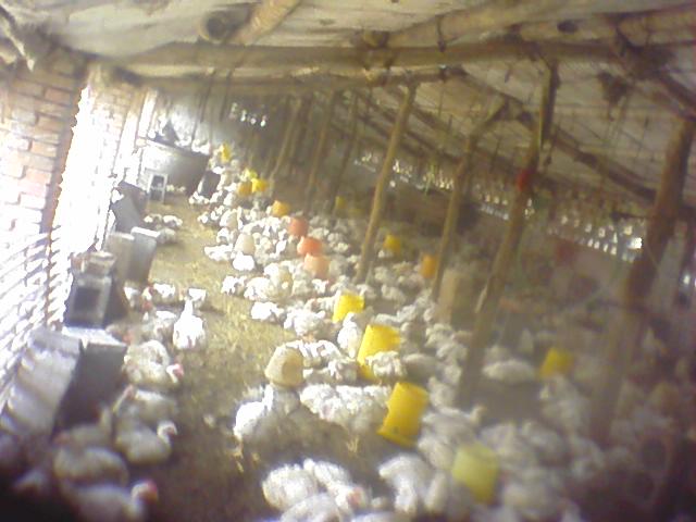0101_2047_03.jpg