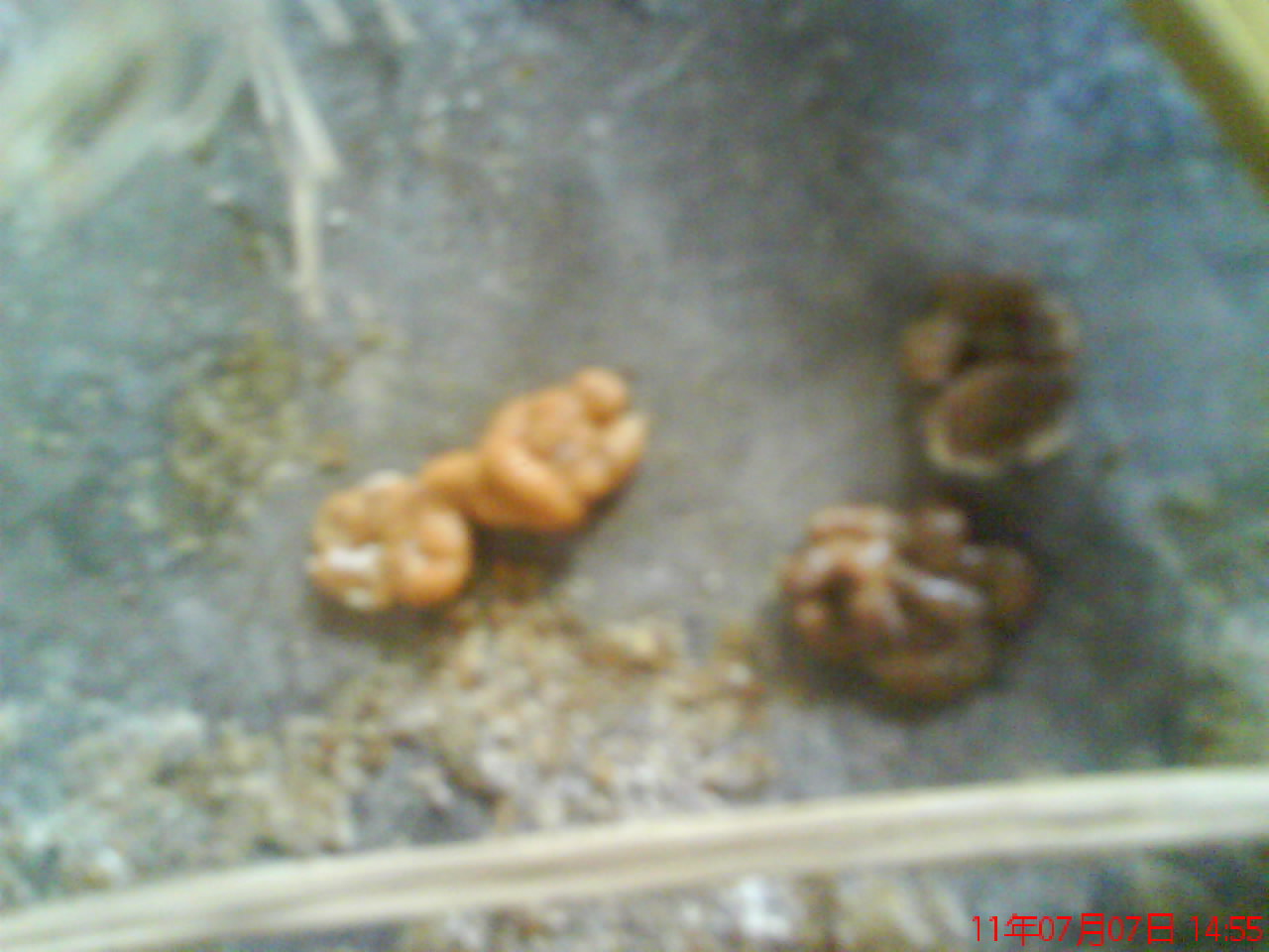DSC00841.JPG