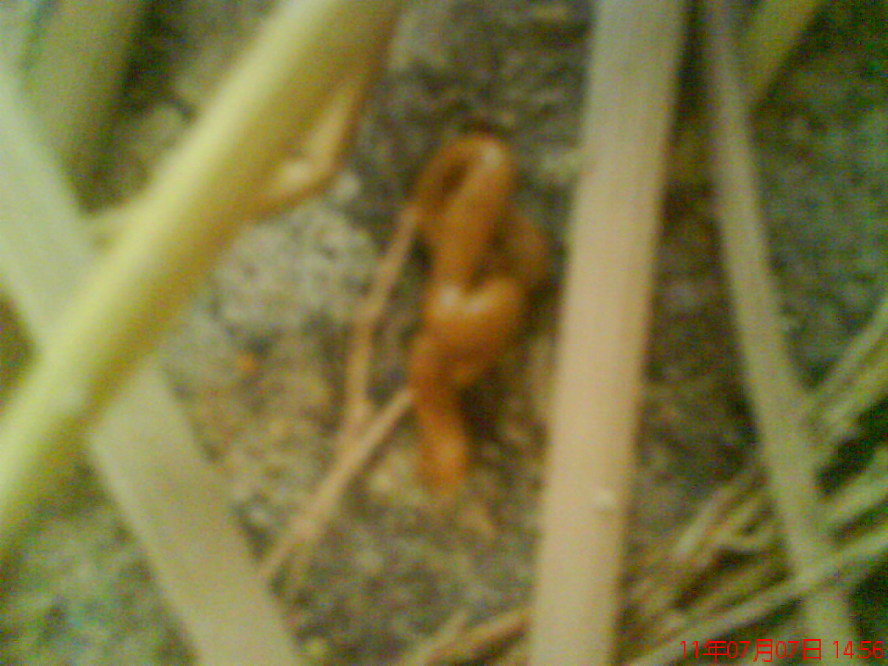 DSC00844.JPG