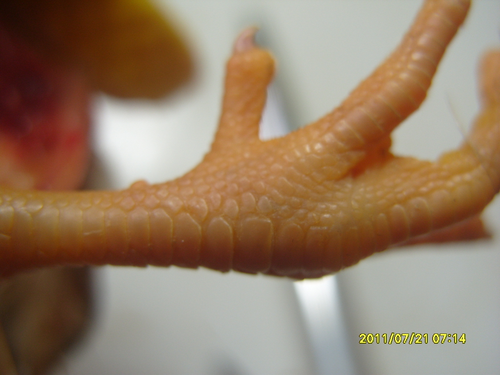 S1055214.JPG