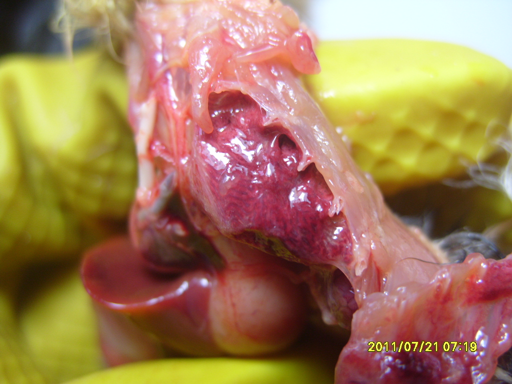 S1055219.JPG