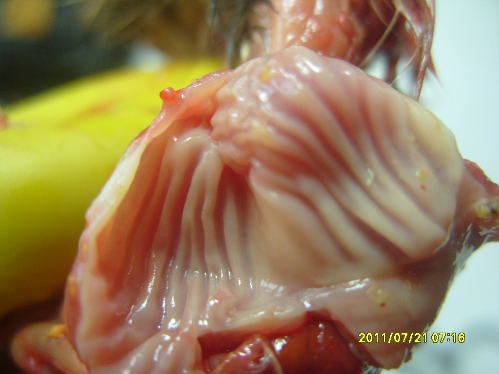 S1055216.JPG