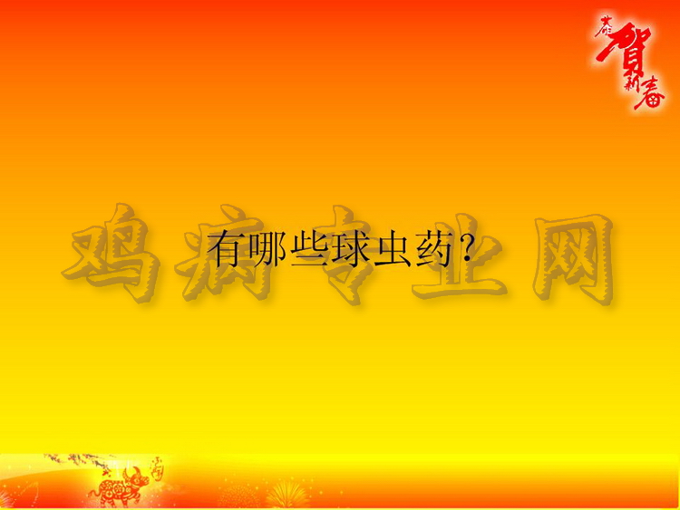 没13.JPG