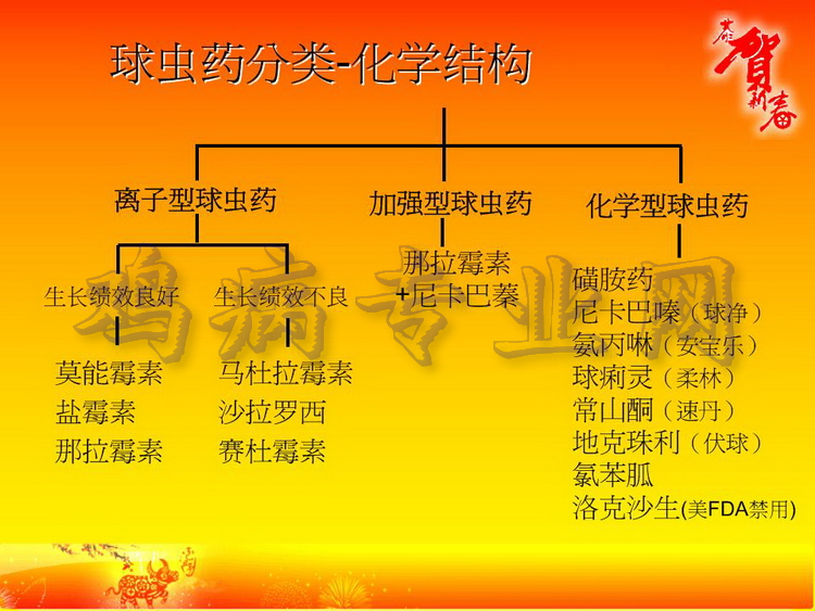 没16.JPG