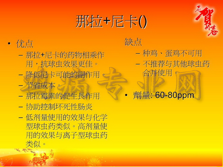 没35.JPG