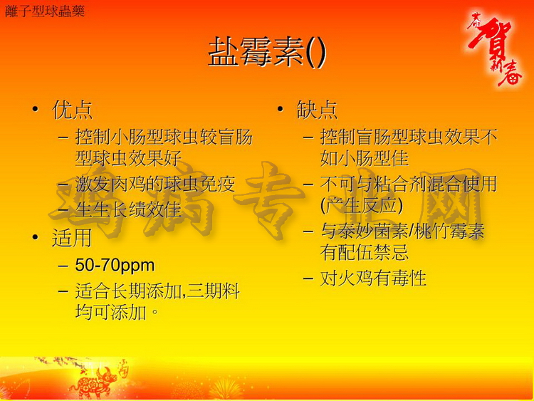 没31.JPG