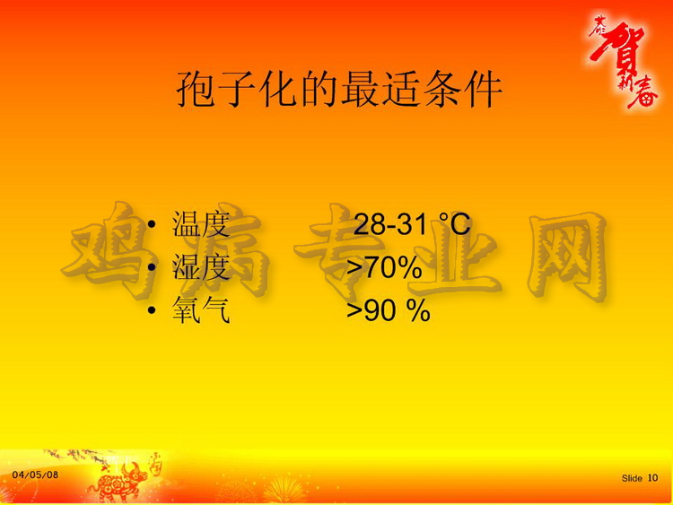没10.JPG