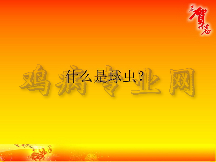 没01.JPG