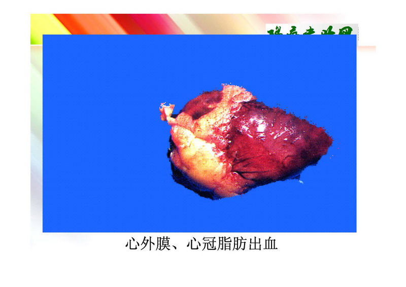 ݻ_ҳ_17.JPG