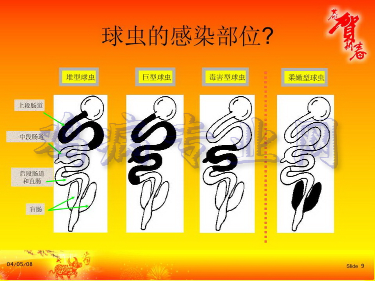 没09.JPG