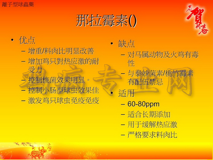 没32.JPG