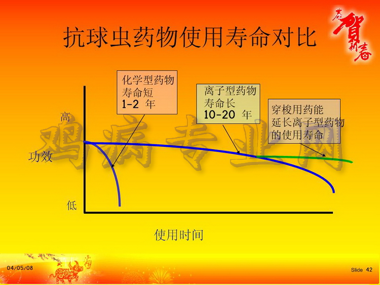 没42.JPG