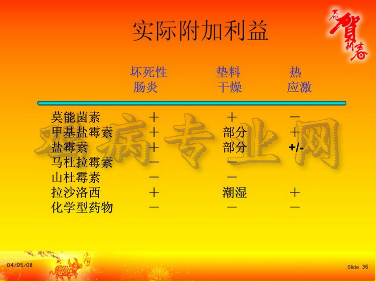 没36.JPG