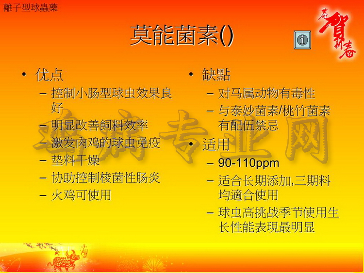 没30.JPG