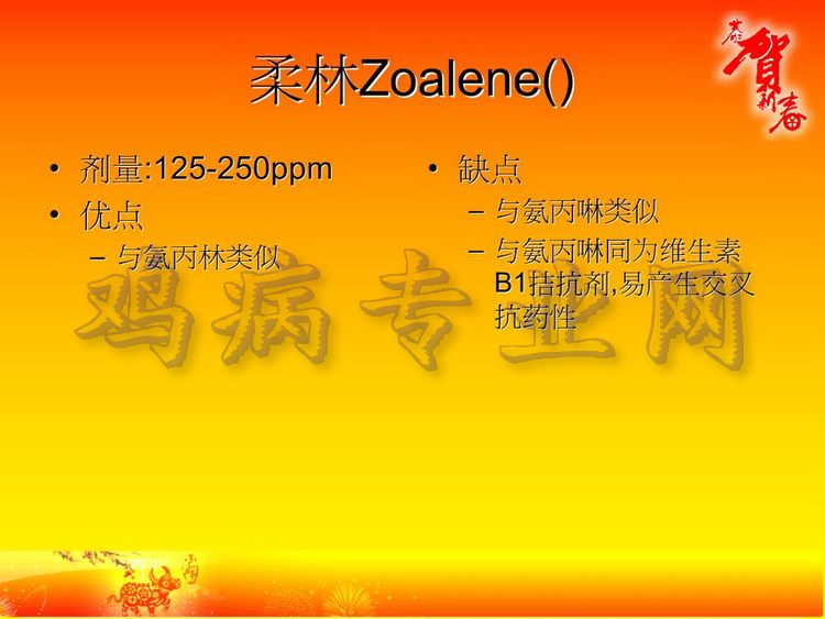 没25.JPG