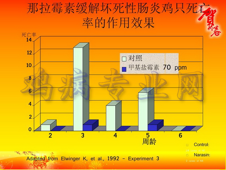 没40.JPG