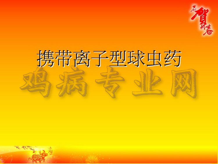没28.JPG