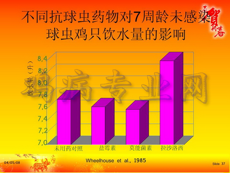 没37.JPG