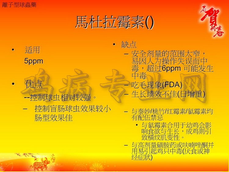 没34.JPG