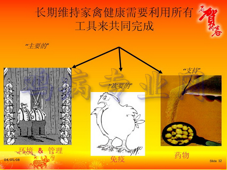 没12.JPG