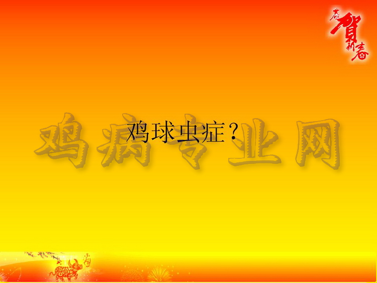 没06.JPG