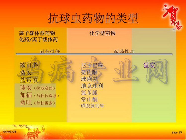 没15.JPG