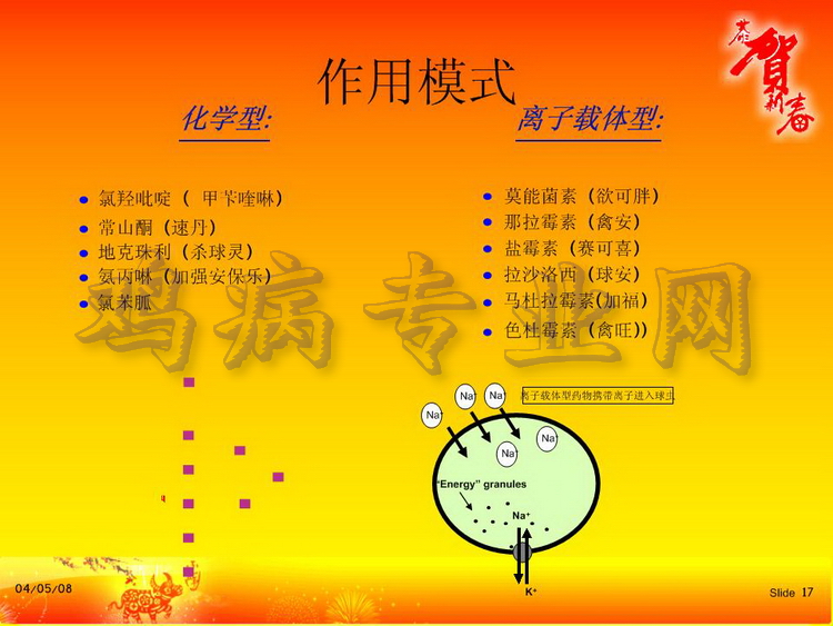 没17.JPG