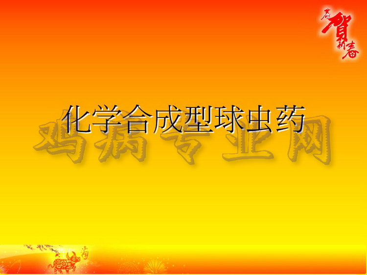 没19.JPG