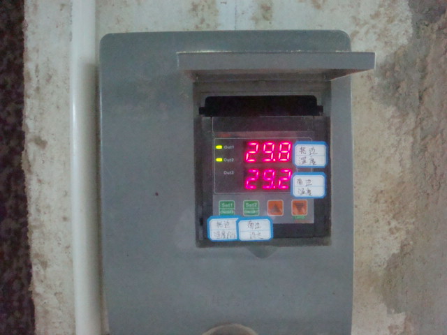 DSC02835.JPG