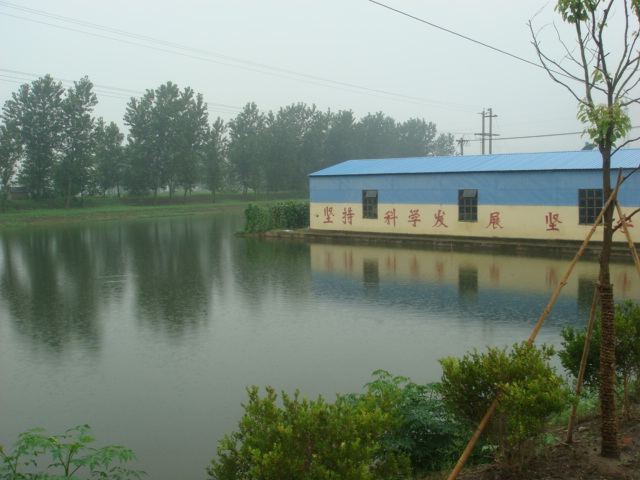 DSC02809.JPG