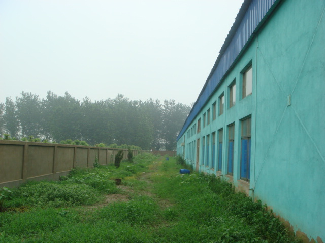DSC02830.JPG