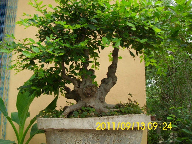 DSCI0504.JPG