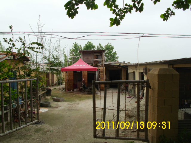 DSCI0535.JPG