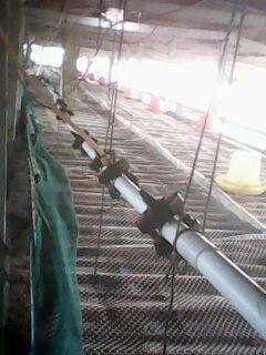 IMG0024A.jpg