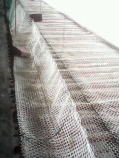 IMG0020A.jpg