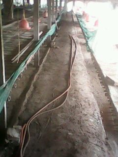 IMG0021A.jpg