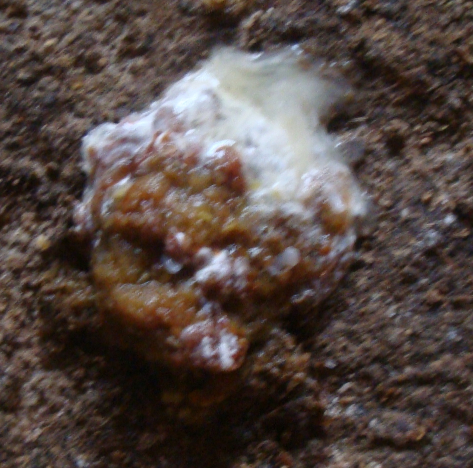 DSC06200.JPG