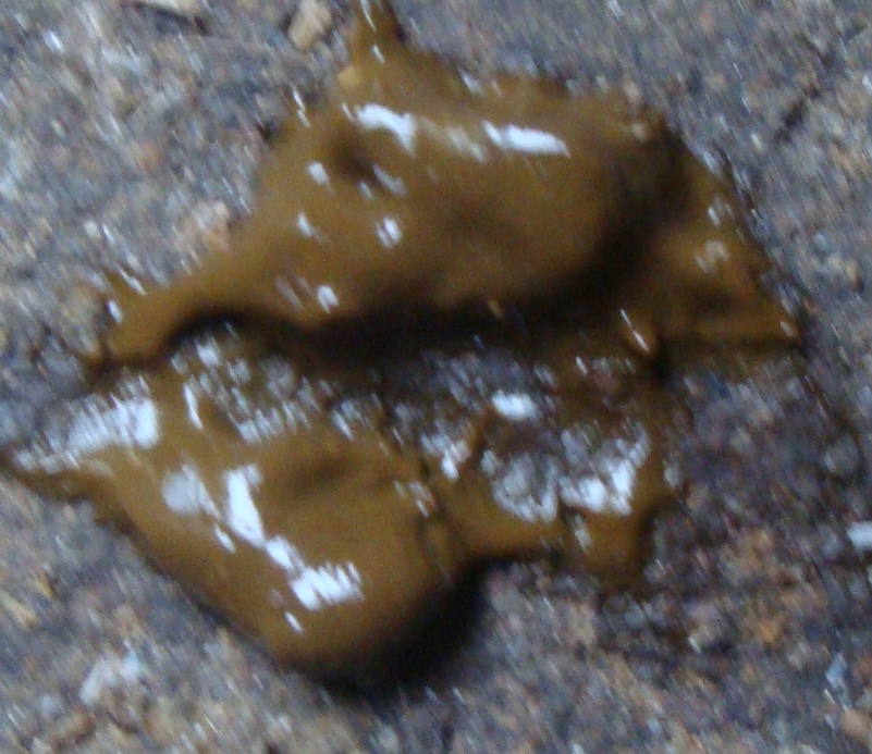 DSC06190.JPG
