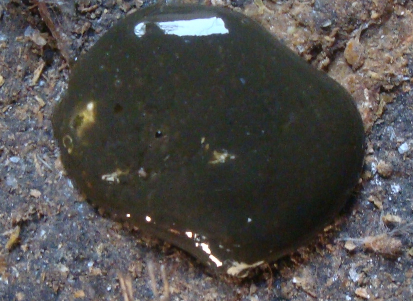 DSC06186.JPG