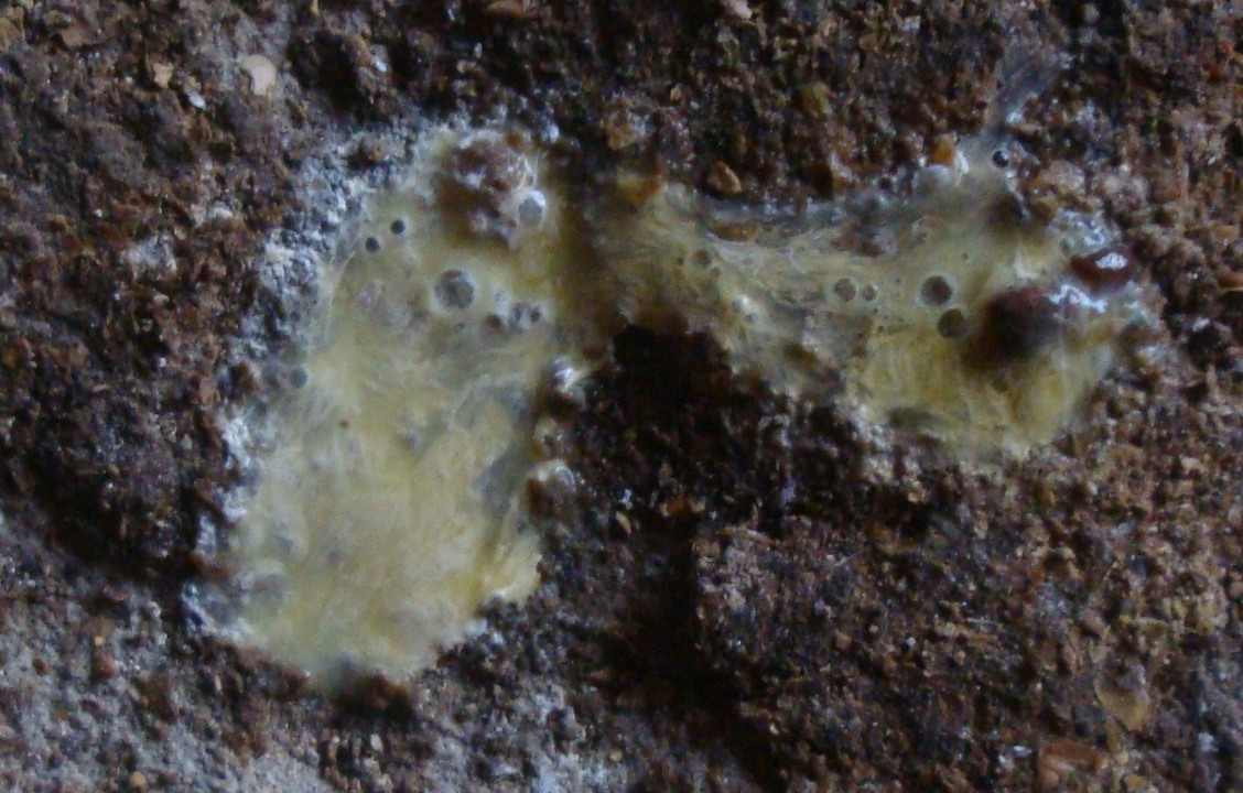 DSC06202.JPG