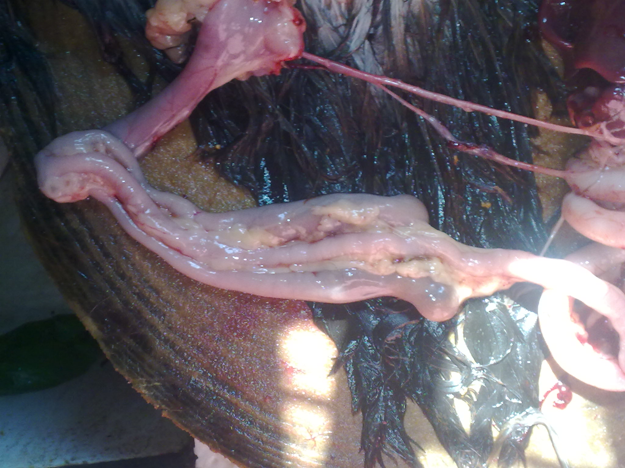 20110812259.jpg
